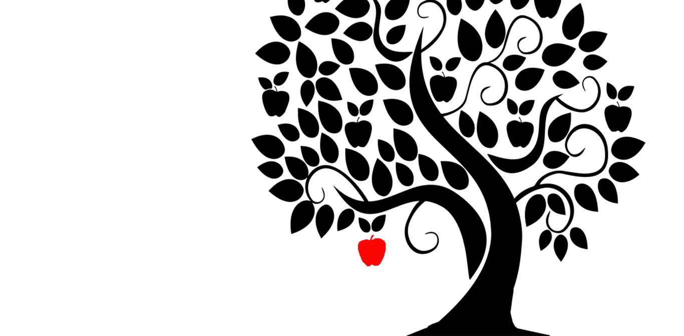 Memahami Seksualitas, Memahami Kekerasan Seksual